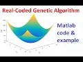 Real-Coded Genetic Algorithm Case study 1