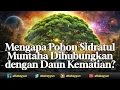 Lagu Daun Kematian di Pohon Sidratul Muntaha, Hubungan antara Kematian dan Kehidupan Akhirat