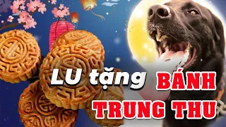 Câu Chuyện Tặng Bánh Trung Thu của Lu Lu |Thánh Lồng Tiếng |