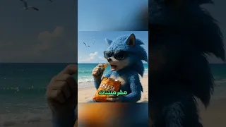 سونيك في ورطة غريبة مع البط على الشاطئ سونيك 