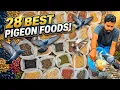 28 Best Seeds Foods You Can Feed Pigeons Every Day IamRajonDas