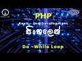 PHP Programming Lesson 19 - Do