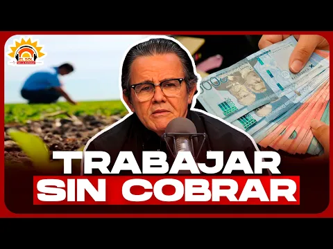 ¿Por qué los agrónomos que generan US$3,200 millones en exportaciones ganan salarios de miseria?