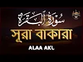 Download Lagu ঘরের উন্নতির জন্য সূরা বাকারা প্রতিদিন শুনুন । Surah Baqarah Full Quran Recitation By Alaa Aqel