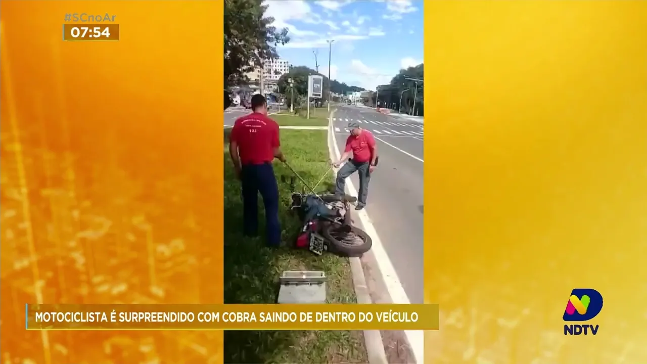 Motociclista é surpreendido com uma cobra em um dos bairros residenciais de Florianópolis