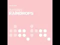 Raindrops (Groovecutters Remix)