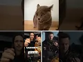 Download Lagu Cat makes EPIC Spanish song! 💃🏻