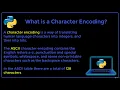 2 What is character encoding