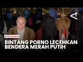 Lagu Viral! Bintang Porno Bonnie Blue Seret Bendera Merah Putih di Depan KBRI London