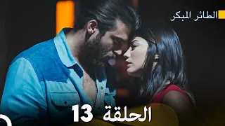 مسلسل الطائر المبكر الحلقة 13 دوبلاج عربي 