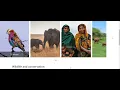 How to Build a Responsive Slider With Swiper js