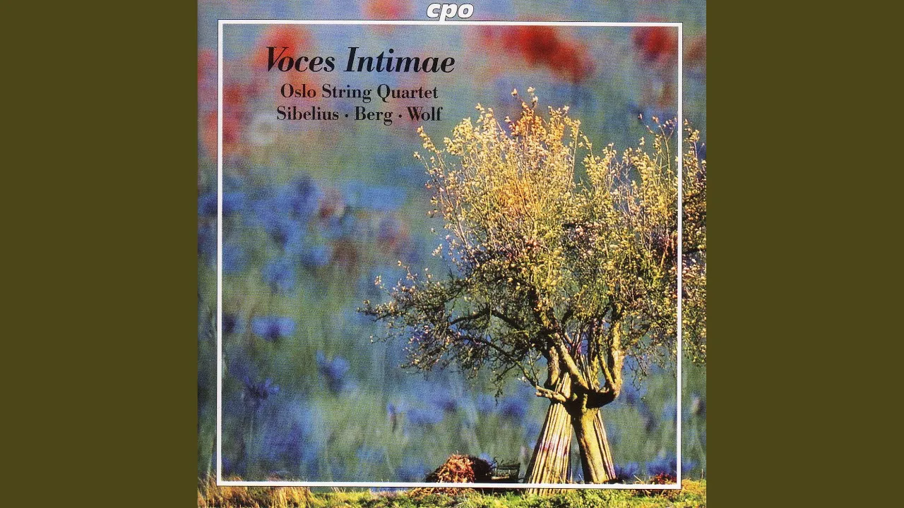 String Quartet in D Minor, Op. 56 "Voces intimae": II. Vivace
