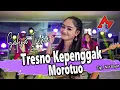 Download Lagu Safira Inema - Tresno Kepenggak Morotuo | Dangdut [OFFICIAL]