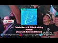 Calvin Harris & Ellie Goulding - Miracle (Hardwell Extended Remix)