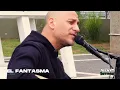 El Fantasma - Árbol || Johnny Íntimo #johnnyintimo #árbol