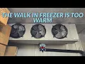 Download Lagu THE WALK IN FREEZER IS TOO WARM