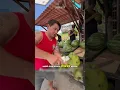 Lagu Jackie Chan Alih Profesi Menjadi Penjual Es Kelapa 😂