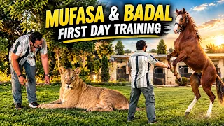 First time Mufasa and Badal traing start😱Badal nay jumping sekh li😍(Mian Saqib)