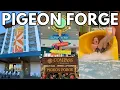 NEW Compass by Margaritaville Hotel in Pigeon Forge Tennessee FULL TOUR REVIEW