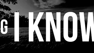 no one knows overthinking flowers by samantha ebert lyric video 