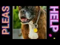 Pet Finder for Southern Oregon