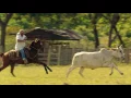 Cholo Valderrama - Amor Salvaje (Video Oficial)