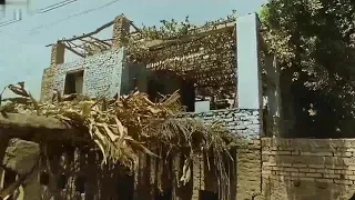 الأستاذ حماقي كاتبلها على الصورة ناويها    ناوي على إيه يا حماقي إنت وتهاني   دندنها