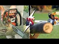 Echo Vs Stihl Chainsaw Which One Lasts Longer