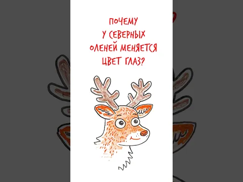 цвет ГЛАЗ у северных оленей