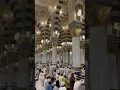 Lagu Beautiful Azan Mohammad Bashir #azan #azaan #islam #viral #foryou #shortsfeed #banglawaz #gullibulli