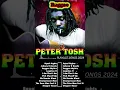 Download Lagu The Best Of Peter Tosh -  Peter Tosh Reggae Songs 2024