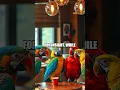 Download Lagu Whiskers in the Boardroom: A Day When Animals Run the Daily