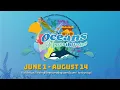 Irving Public Library s Summer Reading Challenge