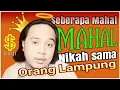 BIAYA PERNIKAHAN ORANG LAMPUNG BERAPA SI ?
