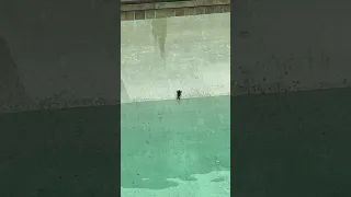 Never give up! 🐸 🐸
