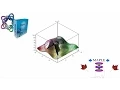 Chapter 3 Plotting by Maple Part 1 The types of Maple plots