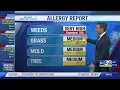 DAILY ALLERGY REPORT Ragweed high and 10- day forecast Oct 14 - Adam Krueger