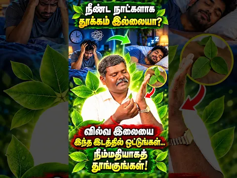 😴 நீண்ட நாட்களாக தூக்கம் இல்லையா? வில்வ இலையை இந்த இடத்தில் ஒட்டுங்கள்... நிம்மதியாகத் தூங்குங்கள்!