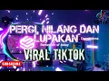Lagu Pergi Hilang dan Lupakan - Remember of Today (Viral TikTok)