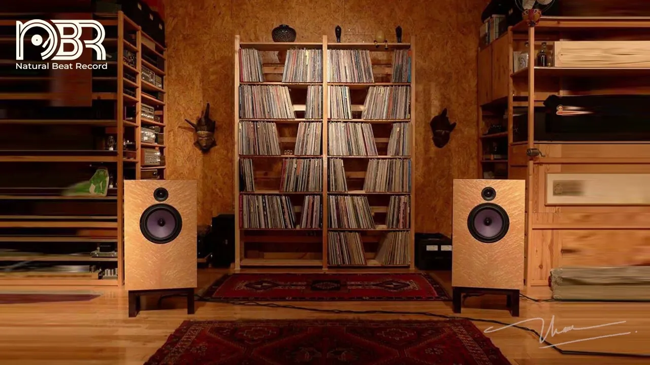 Audiophile Music 24 bit - Hi Res Audiophile Test - Natural Beat Records