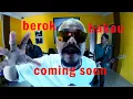 Download Lagu kufaku-berok bakau Official Trailer