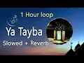 Download Lagu [1 Hour] YA TAIBA 🌙 Slow \u0026 Reverb Version | Aisha Abdul Basit 🕋