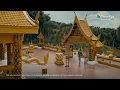 Tremfya Commercial 2025 2026