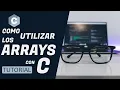 PROGRAMMING in C arrays 13