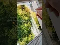 Preparing a digital painting for print