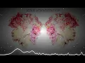 Boom Roses (Charli xcx x The Chainsmokers ft. ROZES Mashup)