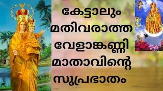 velankannimadha
