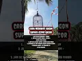 Download Lagu cara merawat sogon supaya cepat gacor #burung #sogon #masteranburung #sogongacor #sogonngleper