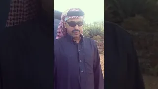 الفنان خالد السلامه   ان شكينا بكينا      دندنها