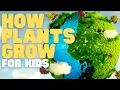 How Plants Grow for Kids Learn about photosynthesis and what plants need to grow strong